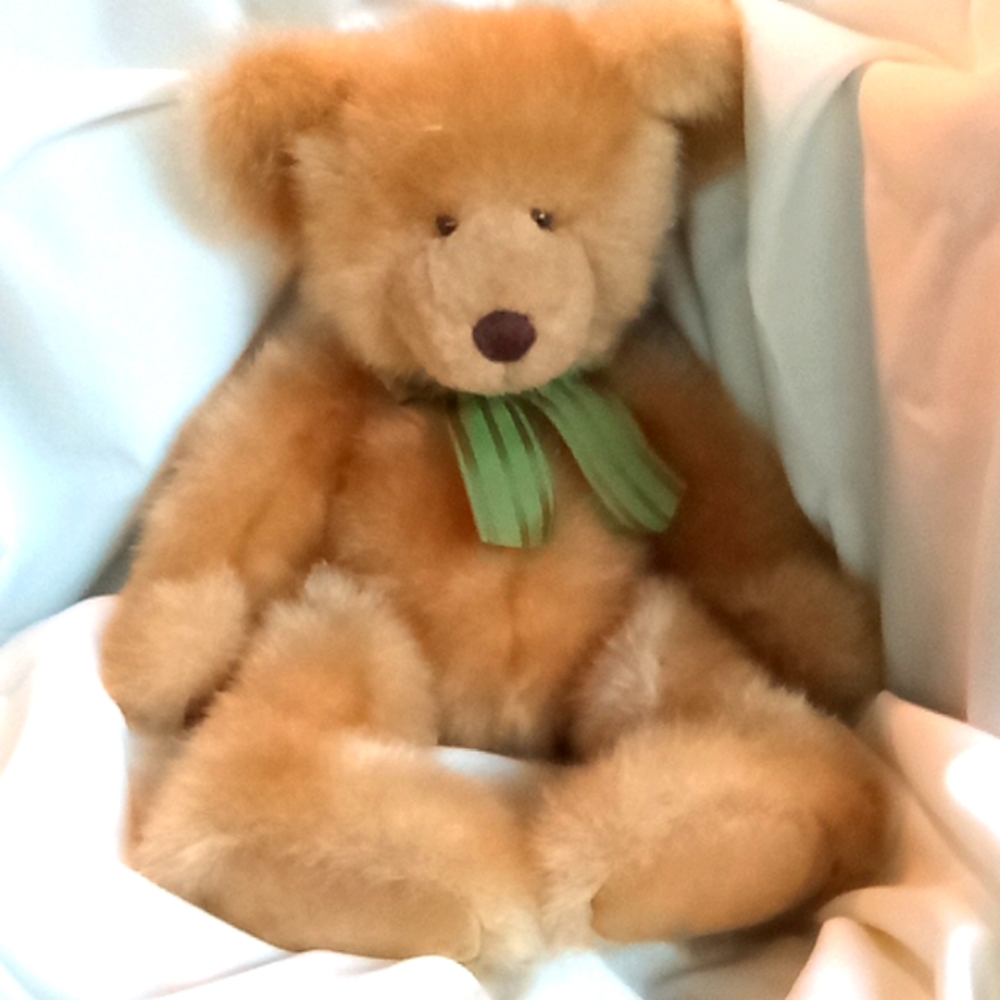 Barrington the Bear by Ross. Very cuddly  and loveable
